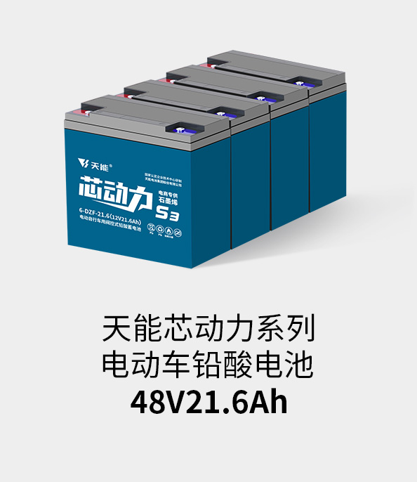 ag平台游戏官网电池48v20ah