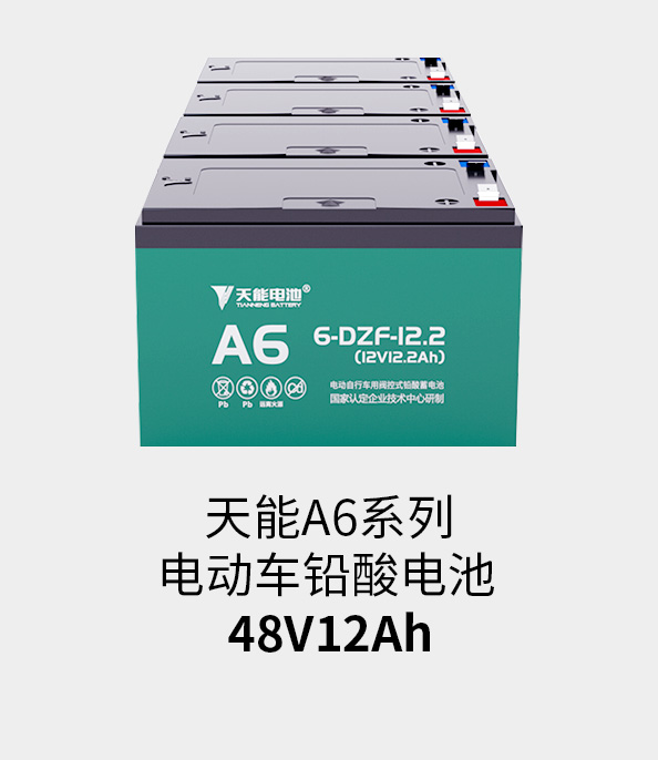 ag平台游戏官网电池48v12ah