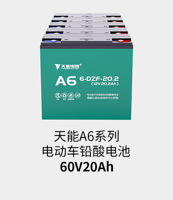 ag平台游戏官网电池60v20ah