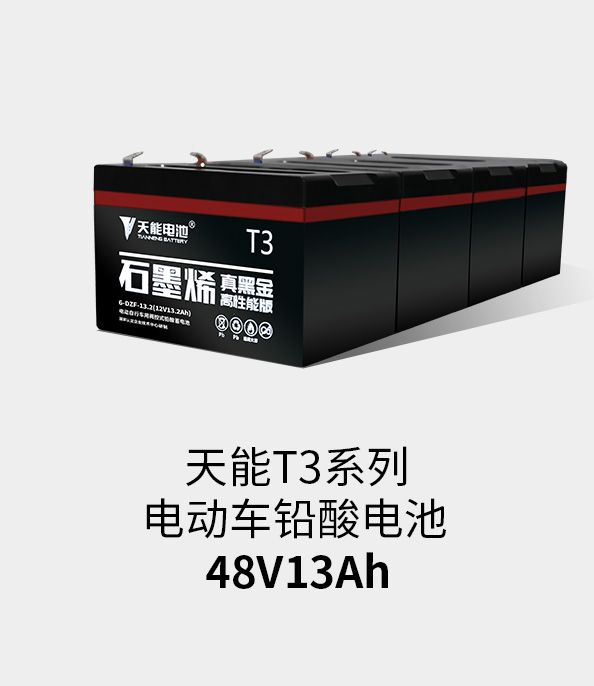 ag平台游戏官网T3系列48v13ah